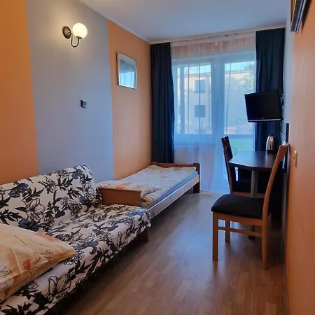 Róża Wiatrów 2