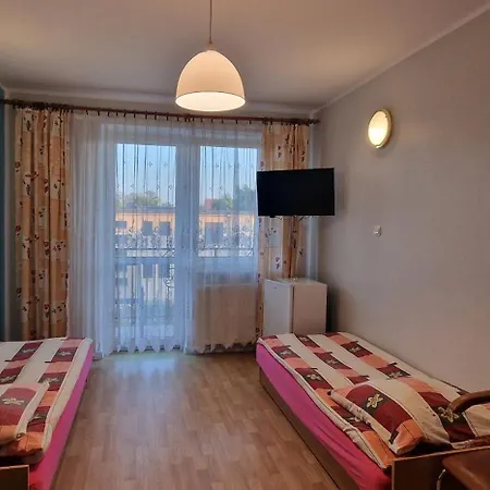 Róża Wiatrów 2 *